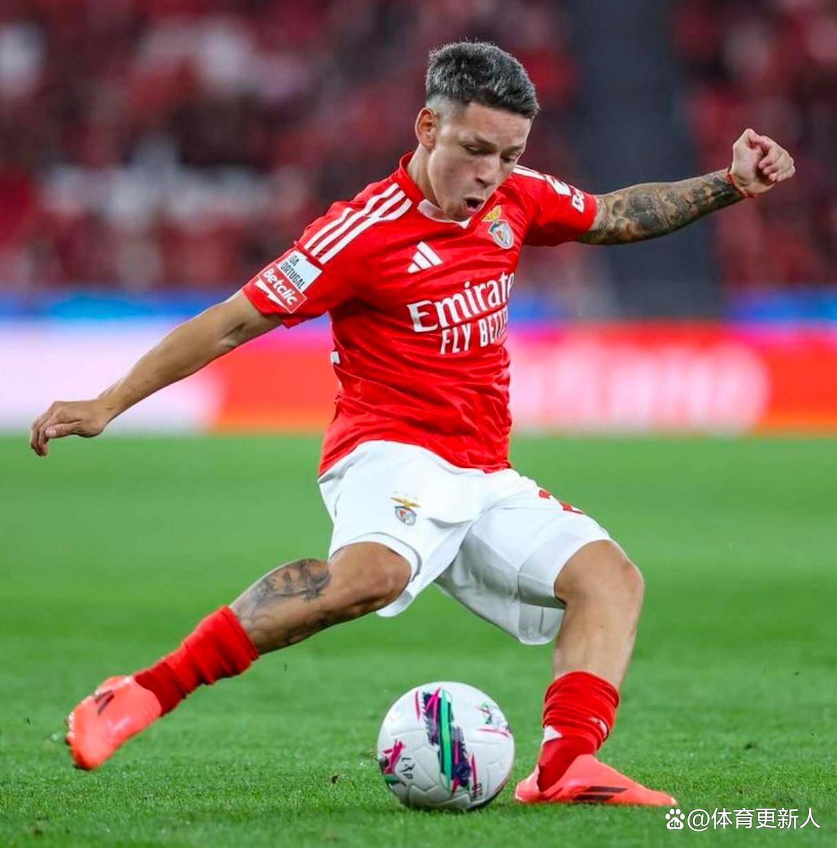 关于集结日那不勒斯备战CBA季后赛里尔围绕葡超队长鼓劲，这操作让人直呼：蒂姆新星官方发布新规表现惊艳的信息开云APP